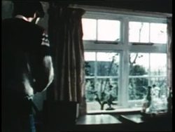 A travel writer uses his home computer to do research. News Clip