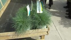 George Osborne visits Garden Centre News Clip