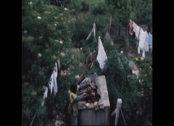 RR8036B PITIKA NTULI ARTIST IN EXILE Instructional Video