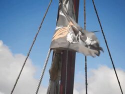 Pirat flag Stock Footage