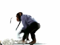 Chimp Clerk Mad Jumps Stock Footage