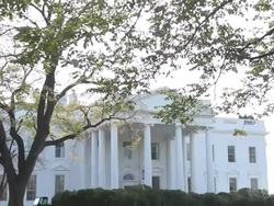 The White House in Washington D.C. Stock Footage