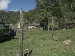 truck in the wild Stock Footage