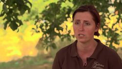 Farmers struggle as Italy gripped by drought Instructional Video