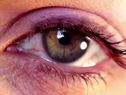 Eye Stare. HD Stock Footage