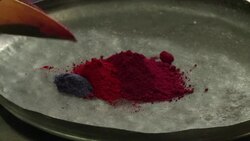 VOICED : The toad that turned into a nice News Clip