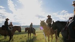 Female ranchers talking on horseback in sunny rural field Stock Footage