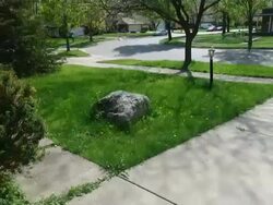 Grass 1 - PAL Stock Footage