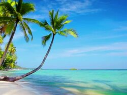 Tropical Paradise. Stock Footage