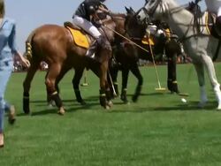 Dree Hemingway at The Sixth-Annual Veuve Clicquot Polo Classic In Support Of Liberty State Park Stock Footage