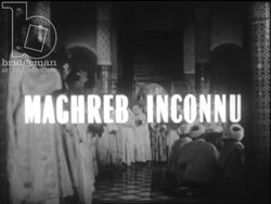 Moroccan men and women making music in a mosque, c.1960 Stock Footage