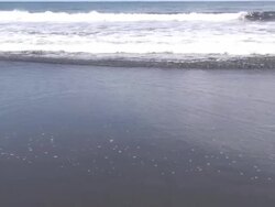 Waves 2 Stock Footage