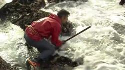 VOICED : Spain barnacle-pickers risk lives News Clip