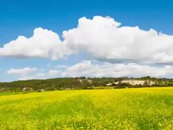 Clouds to pass on a rape field - Time Lapse Stock Footage