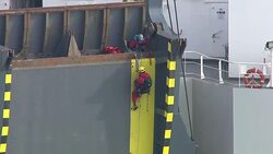 Greenpeace protesters board cargo ship to stop delivery of Volkswagen diesel cars to UK News Clip