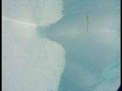 MS single krill floating underwater, Antarctica Stock Footage