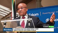 What South Africa's Downgrade Means for the Economy News Clip