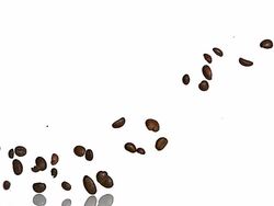 Coffee beans falling against white background, Slow motion Stock Footage