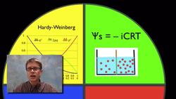 AP Biology Practice 2 - Using Mathematics Appropriately Instructional Video
