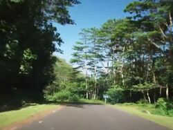 driving down an island road Stock Footage