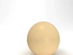 Empty Egg Opened HD Stock Footage