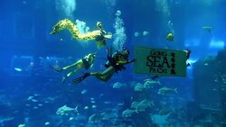 CLEAN : Underwater dragon dance in Singapore ahead of Lunar New Year News Clip