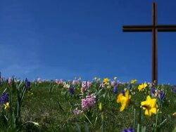 Christ Cross on Flower Covered Hill in Spring Stock Footage