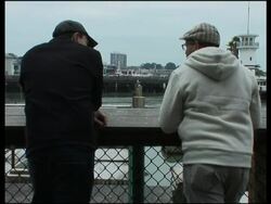 Tourists disappointed  by sudden disappearance of ''Frisco''s sea lions Instructional Video