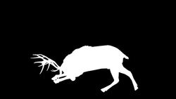 Stag Horn Silhouette (Loopable) Stock Footage