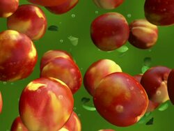 Peaches Falling - Slow Motion Stock Footage