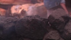 ONLY ON AP How al-Shabab generates millions from illegal charcoal trade News Clip