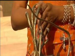 Chris Walton, nicknamed "The Dutchess", has become the new Guinness World Record holder for the world's longest finger nails, according to Guinness officials. News Clip