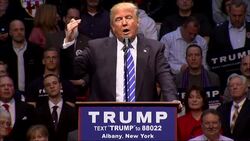 Trump: Cruz 'Does Not Like' New Yorkers News Clip