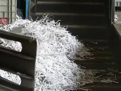 Shredded Paper Prepared for Recycling Process Stock Footage