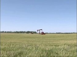 WA corn field foreground, red metal oil pump operating in field, tree-lined horizon, blue sky, sunny, USA Stock Footage