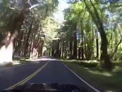 A rural road in the Northern California coastal area with the Pacific Ocean and Redwood trees. Stock Footage