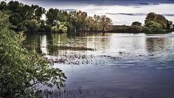 Lake in the forest Stock Footage