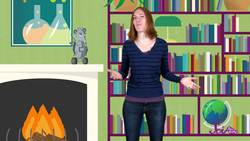 Amazing Animal Groups Instructional Video