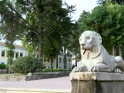 MS View of lion water fountain / Isernia, Molise, Italy   Stock Footage