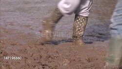 People Walk Through Mud at Festival News Clip