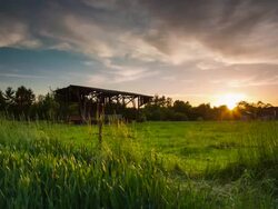CRANE UP: Field with Barn Stock Footage