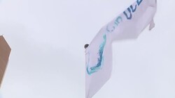 Valetta harbour and swimming pool News Clip