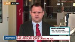 Ireland Won’t Budge on Backstop, Irish Senator Richmond Says News Clip