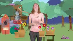 Busy Bees Instructional Video