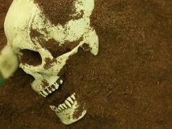 Crime Scene Stock Footage