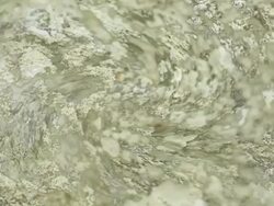 LICHEN : spin (LOOP) Stock Footage