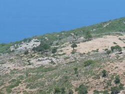 MS AERIAL Shot of hilltop / Epidaurus, Peloponnese, Greece Stock Footage