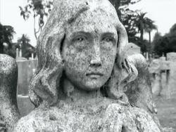 Cemetery Scare Stock Footage