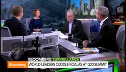 Jimbelung the Koala Cuddles World Leaders at G-20 News Clip