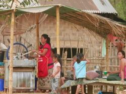 MS Woman under bamboo canopy putting sugarcane stalks in large blue wheel for pressing /  Vang Vieng, Vientiane, Laos Stock Footage